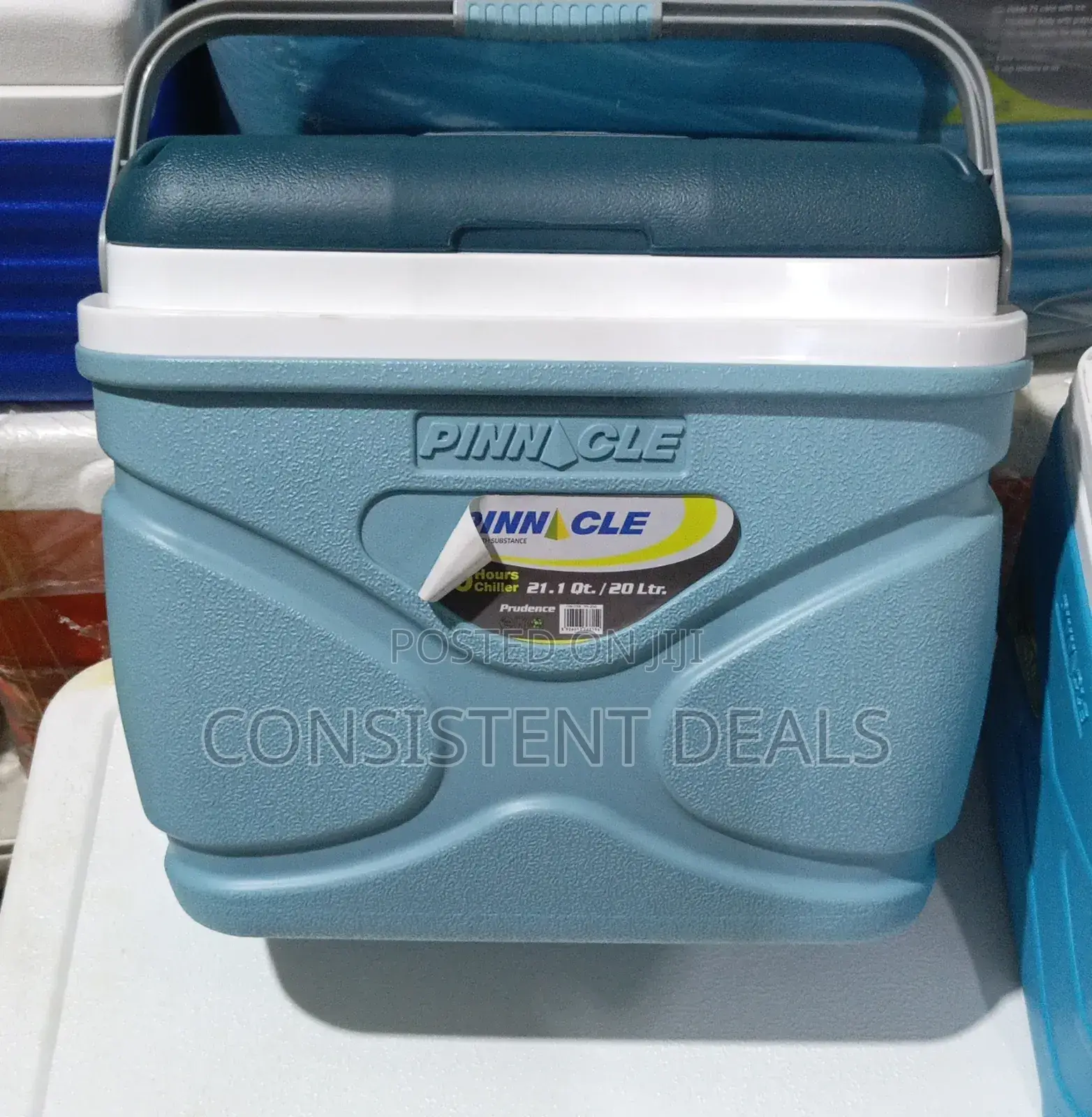Pinnacle 20l Ice Cooler Chiller Box