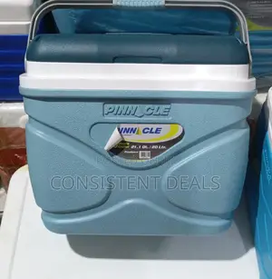 Pinnacle 20l Ice Cooler Chiller Box
