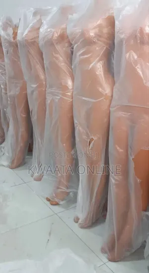 Headless Female Mannequin / Dummy Armless
