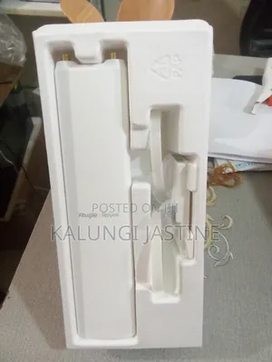 Access Point