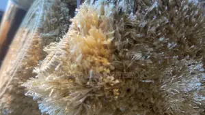 Fluffy Medium Cream Carpet