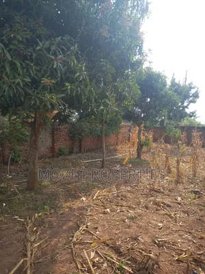 50x100 3 Plots for Sale in Kasangati Nangabo.