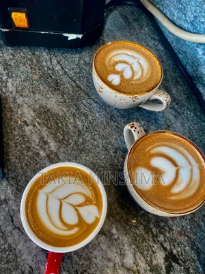 Professional Barista