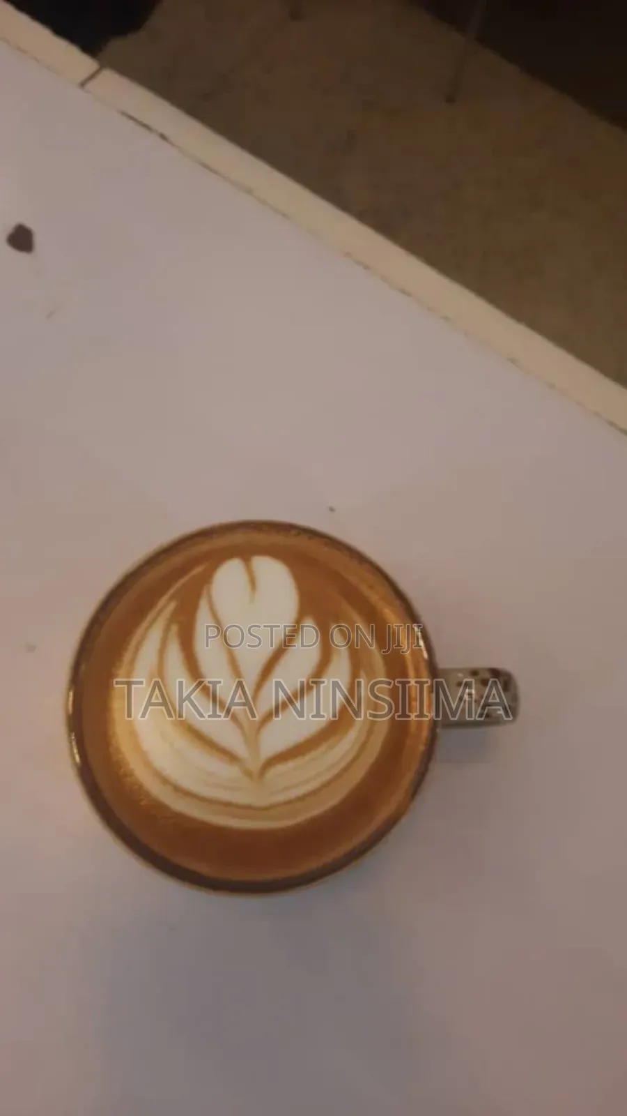 Professional Barista