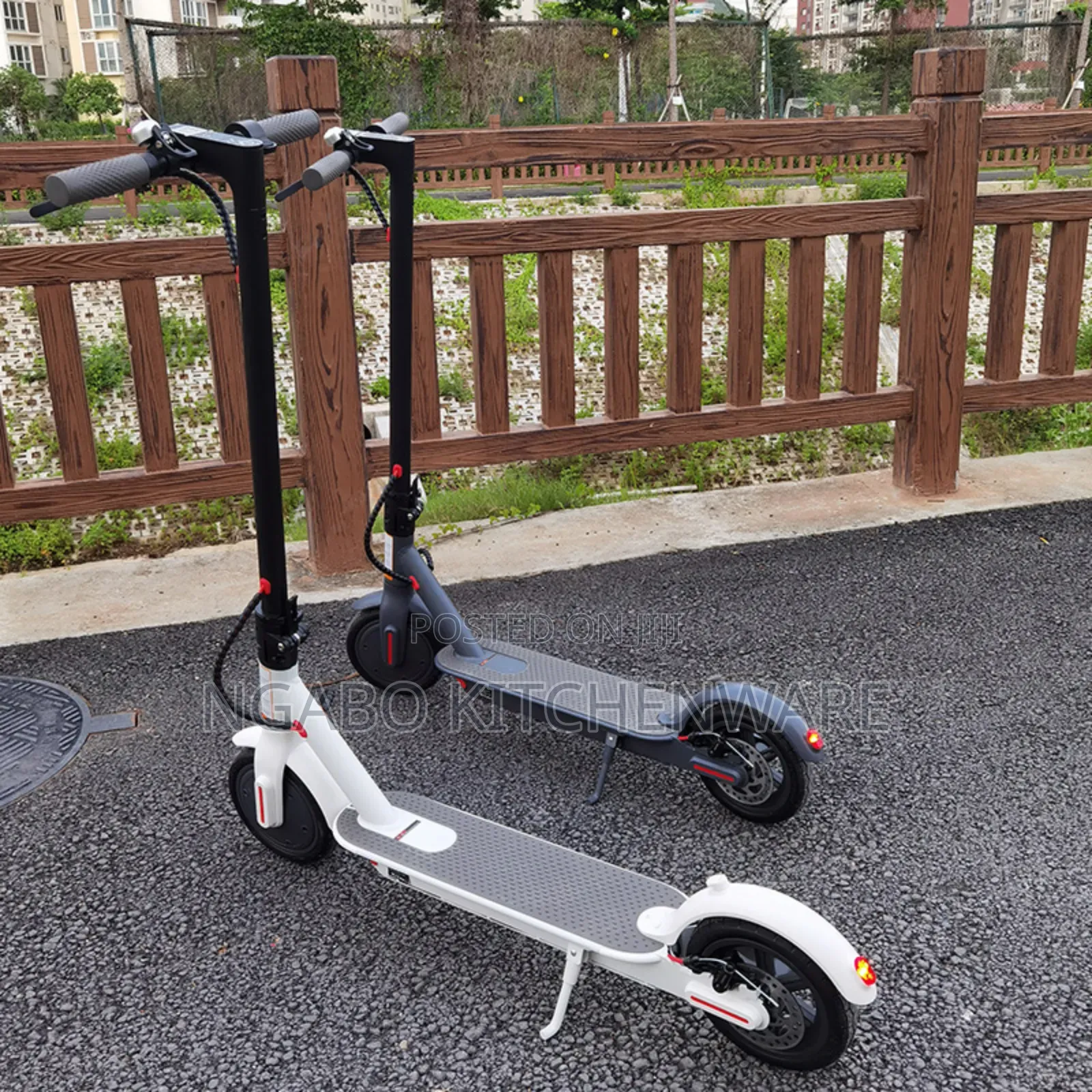Electric Scooter