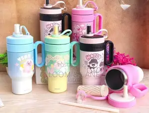 Insulated Thermos Water Bottles With Handles and Built-in Straws