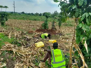 Borehole Services