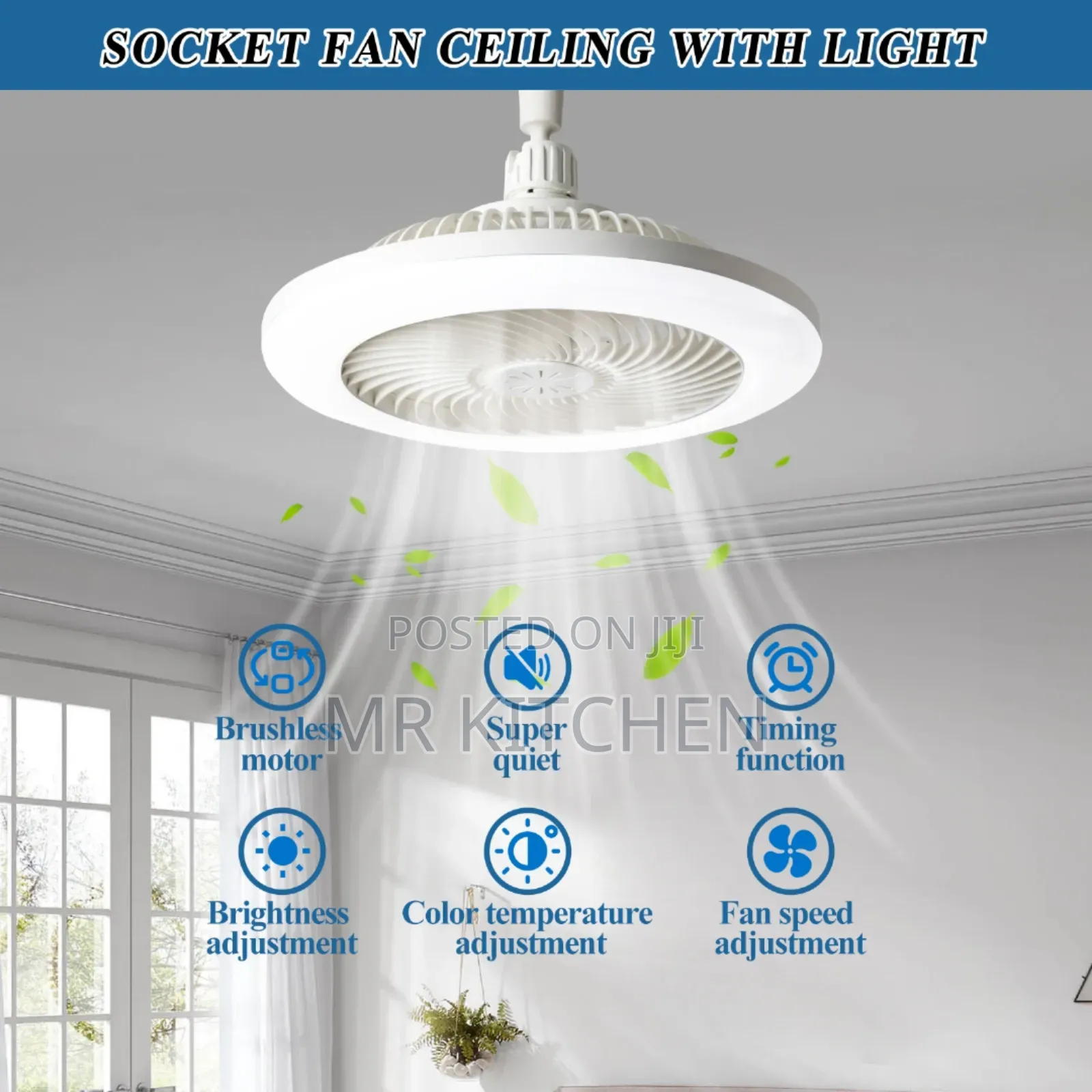 Fan With Light