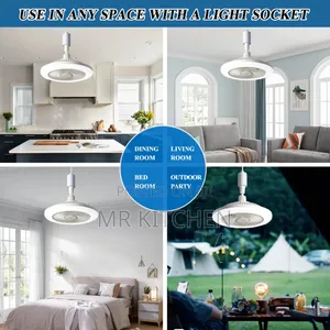Fan With Light