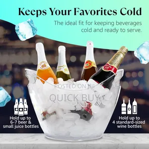 Large Ice Bucket for Parties