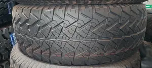 265/65r17 Petromax
