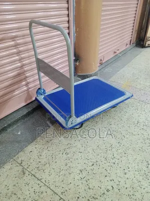 300kg Flat Bed Trolley