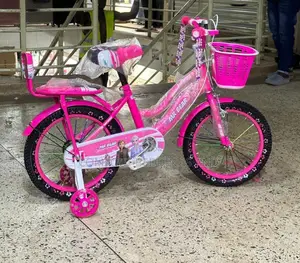 Girls’ Bicycle Pink 4-9 Years