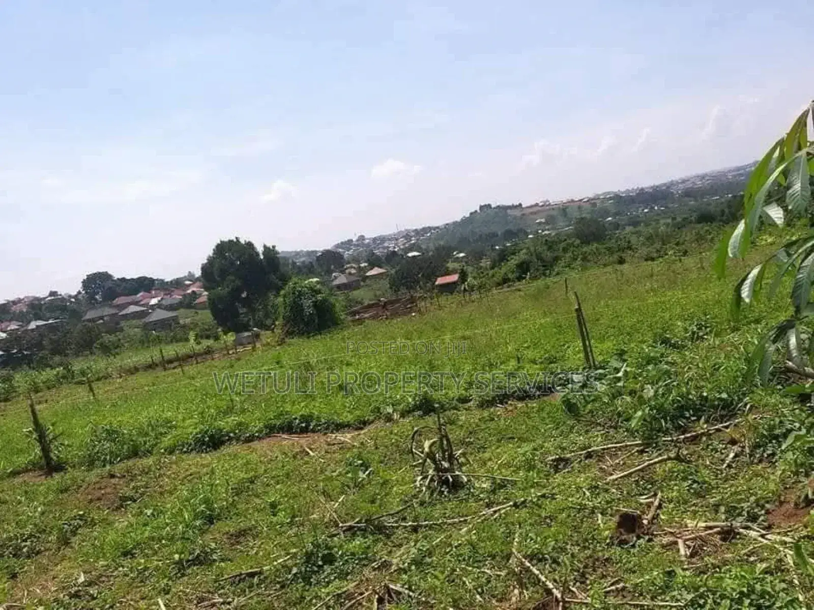 Plot for Sell