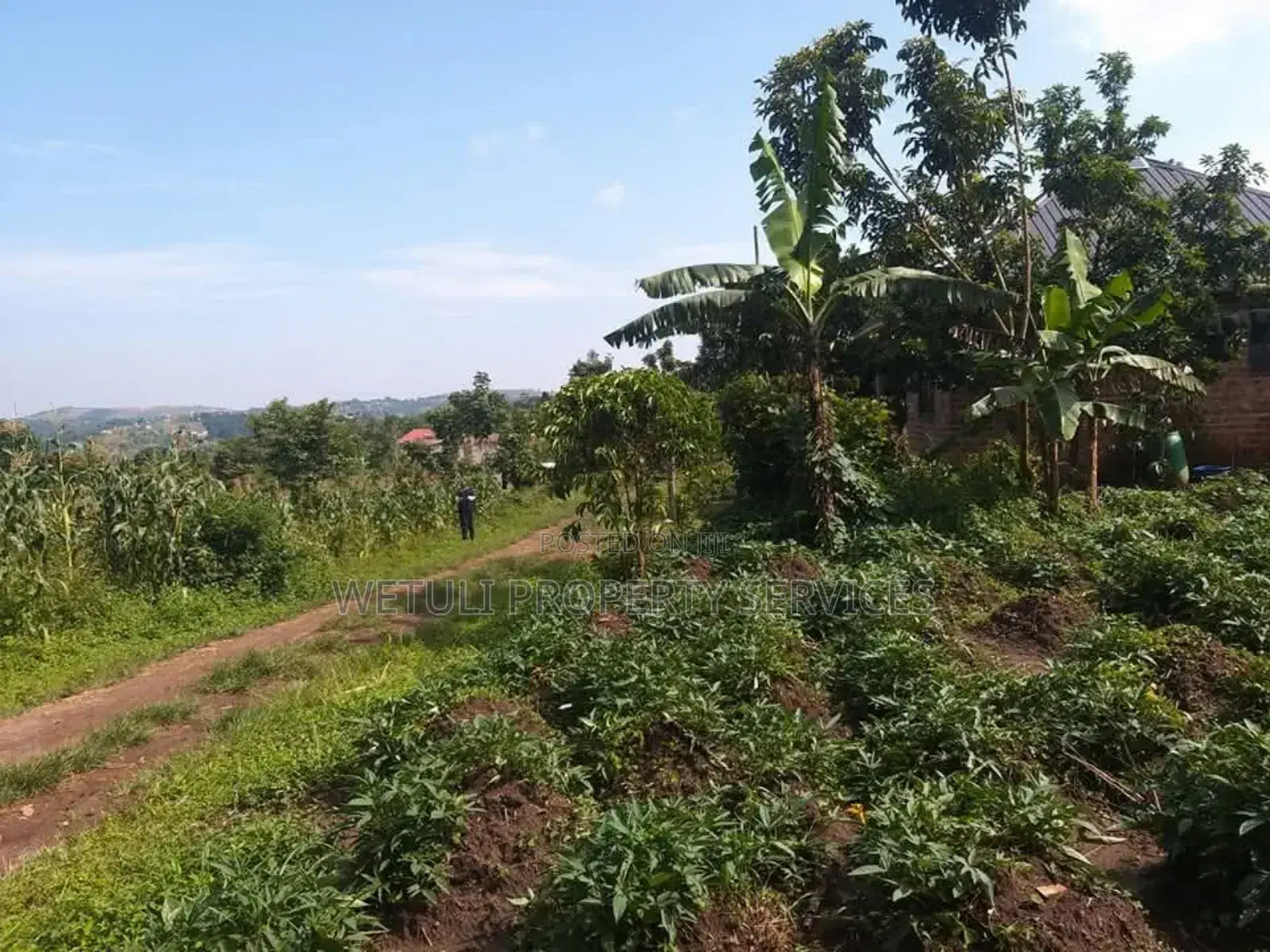 Plot for Sell