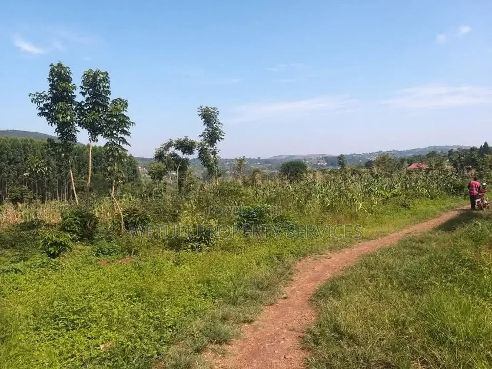 Plot for Sell