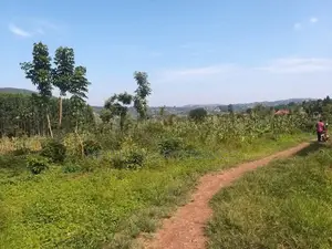 Plot for Sell