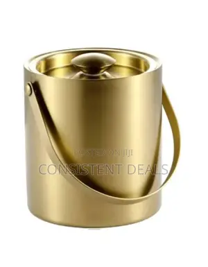 Stainless Steel Mini Ice Bucket