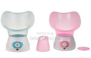 New Electric Facial Steamer