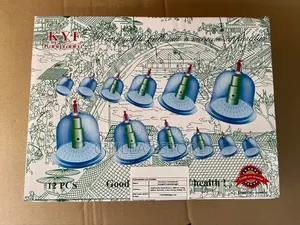12 Cup Vacuum Cupping Therapy Sets, With Pumping Handle,