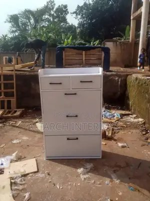 Modern Open and Close Shoerack