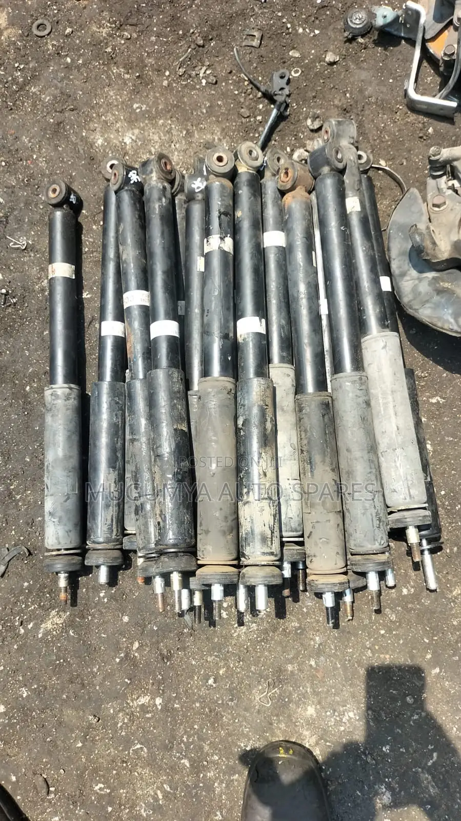 Honda Fit Rear Shock Absorbers