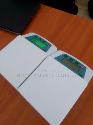 Do You Need Weighing Scale Ts200 Weigh Kitchen Digital Weighing Scale