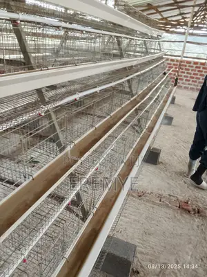 Chicken Cages