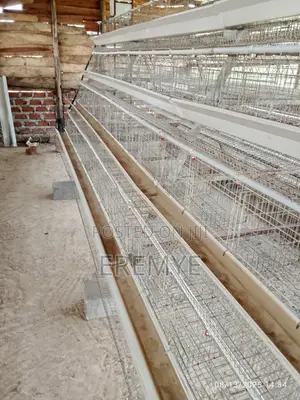 Chicken Cages