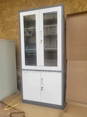 Half Glass Steel 2 Door Office Cabinet