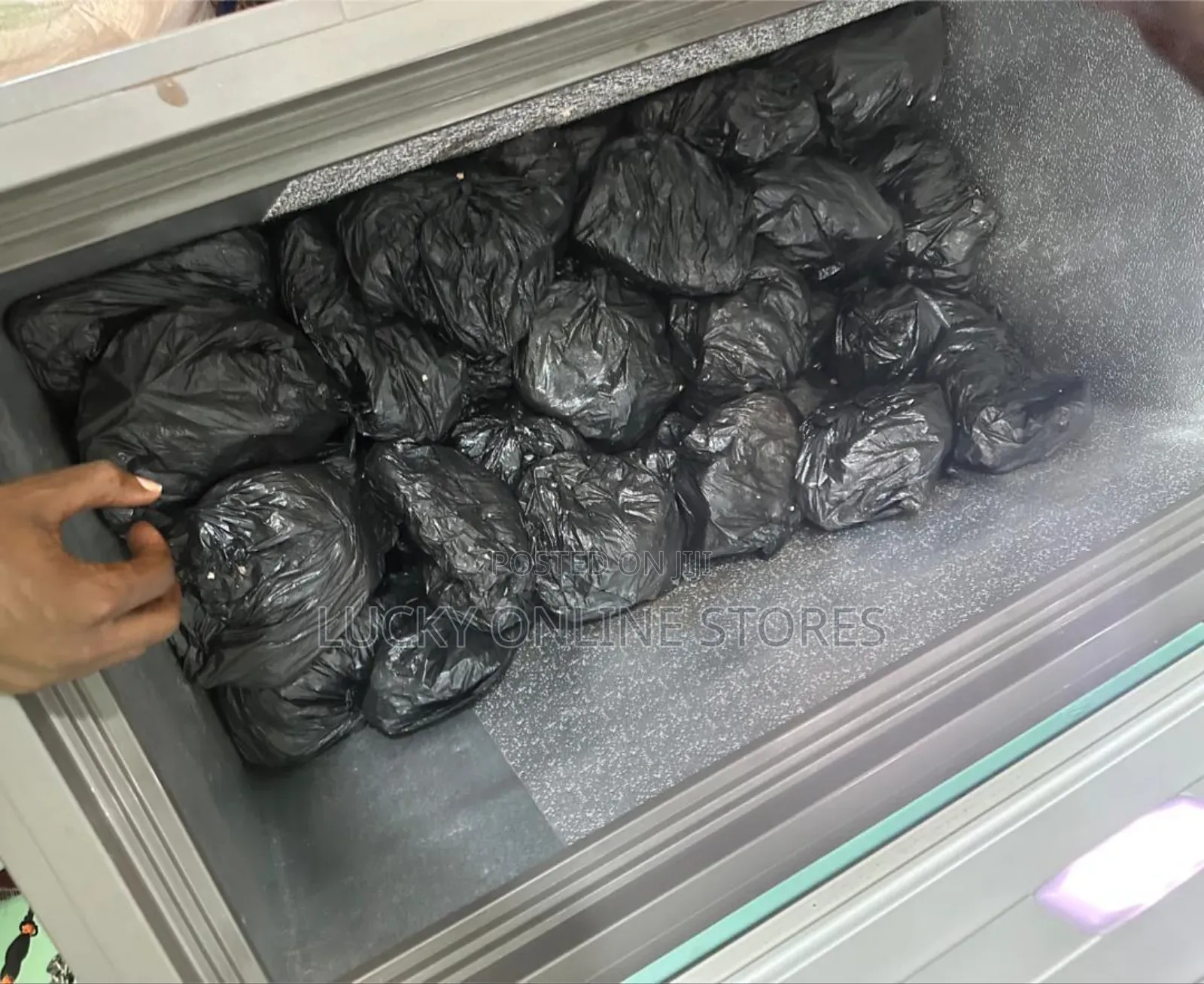 Frozen Dogs Meat. Chicken, Beef Goat's Off Cuts