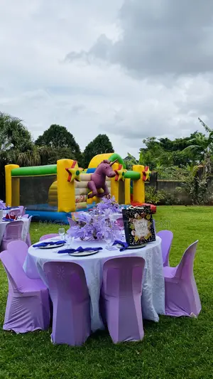 New Bouncing Castle, Face Painting, Clown and Swimming Pool