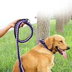 Dog Lead, Rope With Strain Relief, Collar, Training, Walking, Jogging,