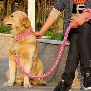 Dog Lead, Rope With Strain Relief, Collar, Training, Walking, Jogging,