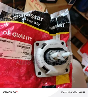 Transmission/ Gear Box Mounting W164 166