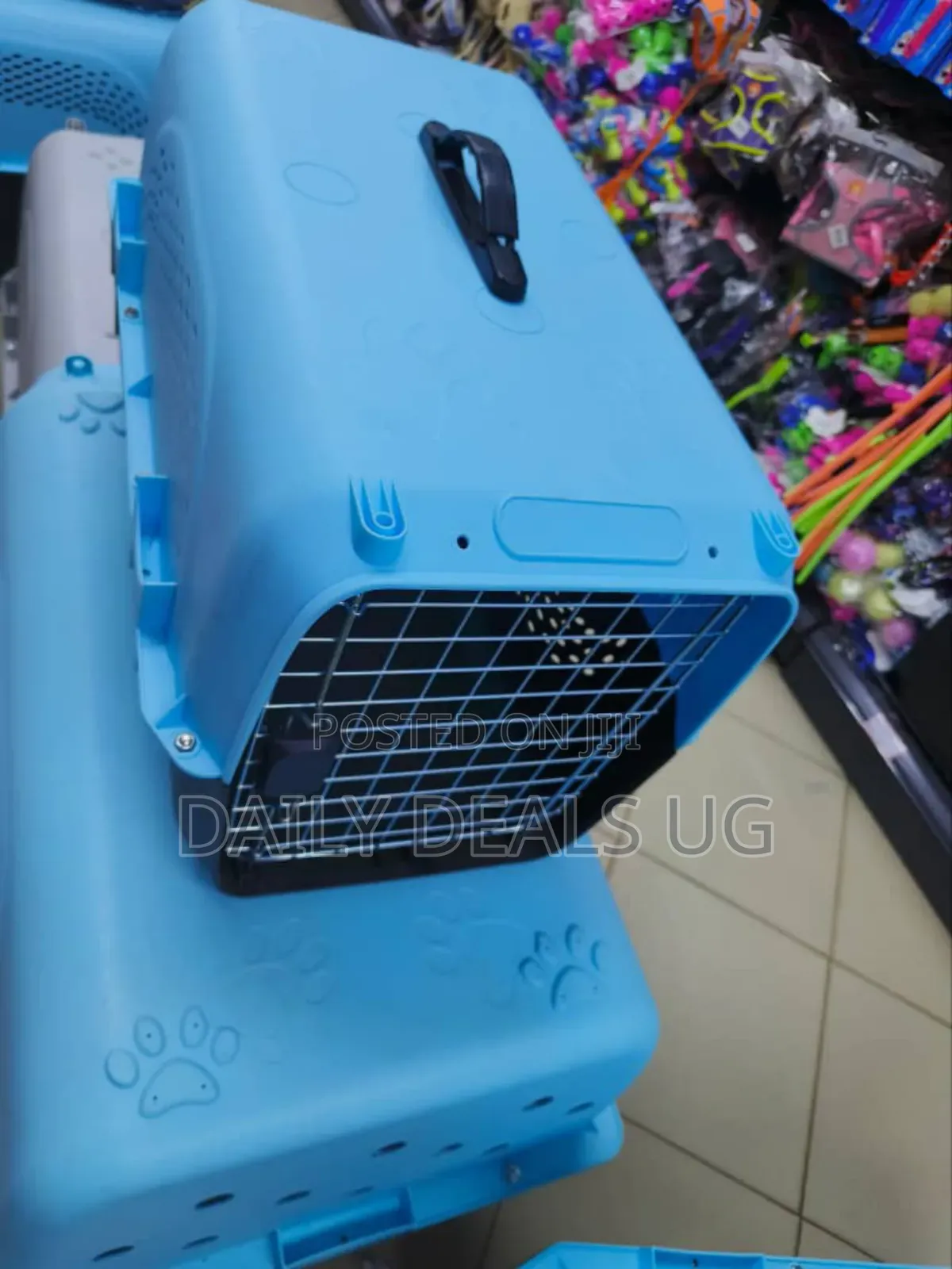 Dogs Cages