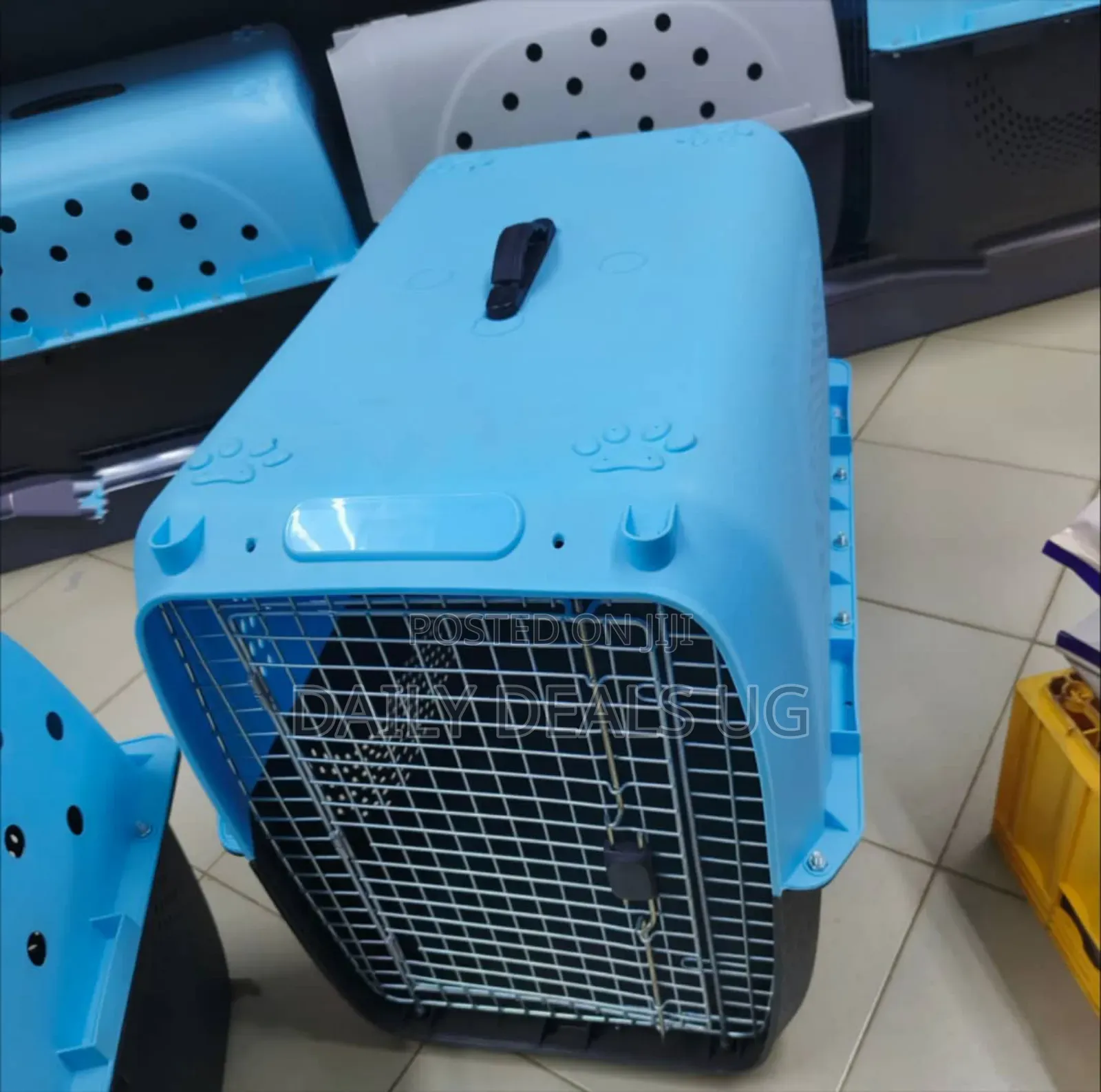 Hard-Sided Pet Carrier, Cats Dogs