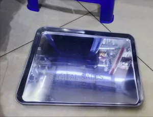 Sliver Stainless Steel Tray