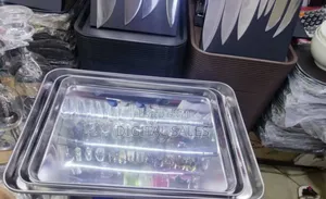 Stainless Steel Tray
