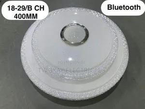 Ceiling Light With Bluetooth Speaker