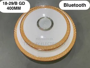 Ceiling Light With Bluetooth Speaker