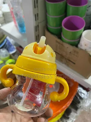 Juice/Water Bottle With Straw