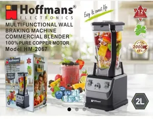 Hoffmans Hm-2067multifunctional Wallbraking Machine Commercial Blender