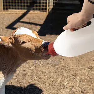 Plastic Calf Feeding Bottle