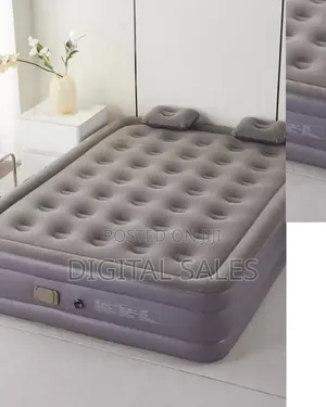 Double Air Mattress With Pillows