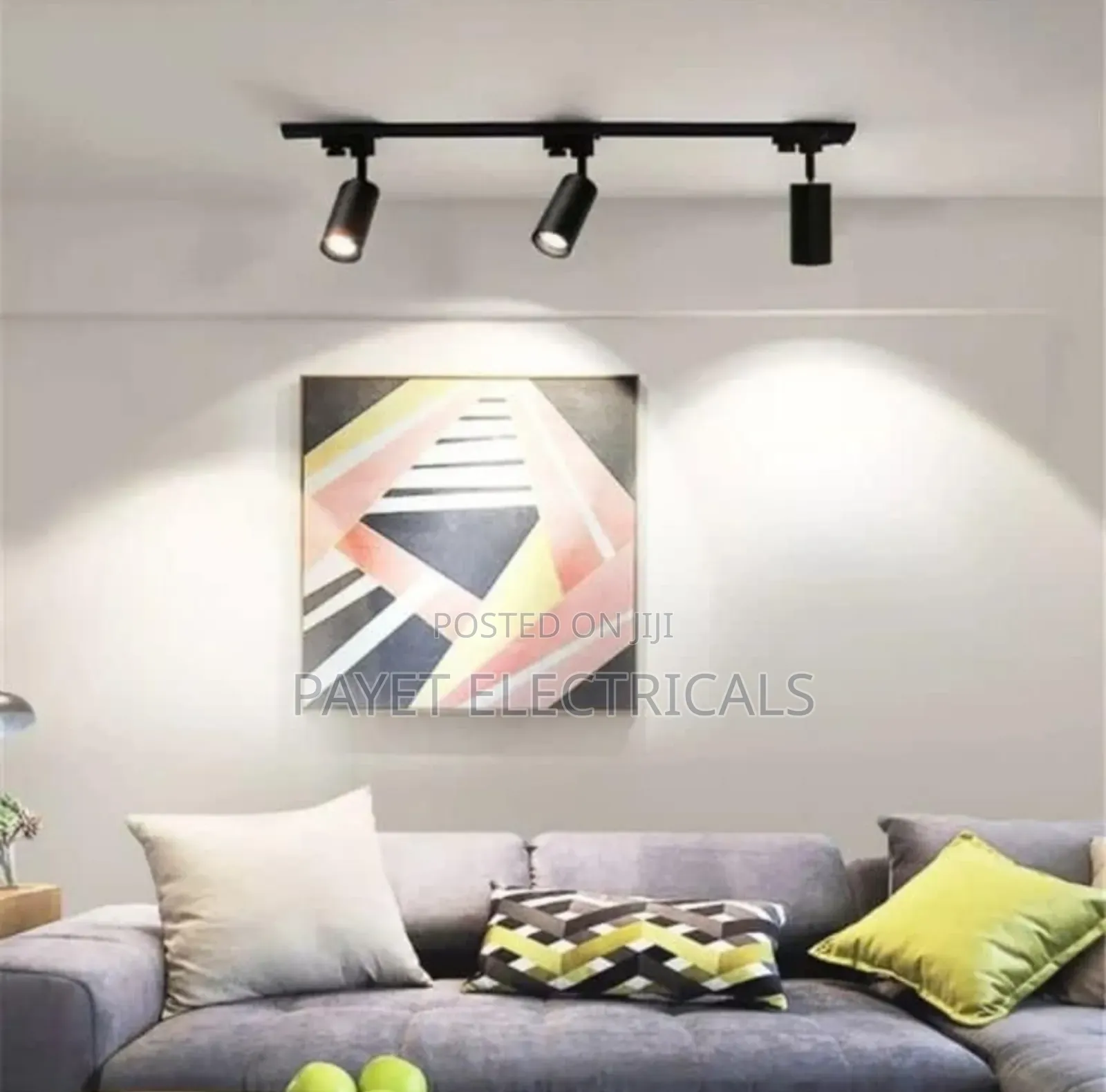 Modern Black /White Track Light