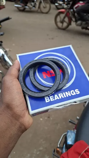 Bearings Oil Seals