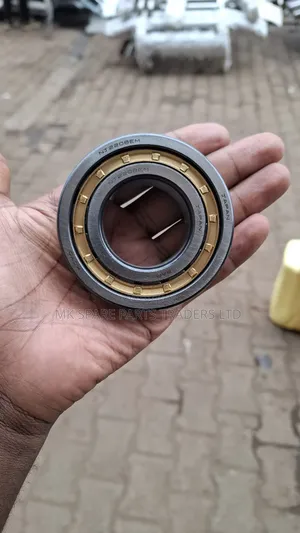 Japan Bearings