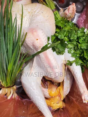 Dressed Turkey and Guinea Fowl