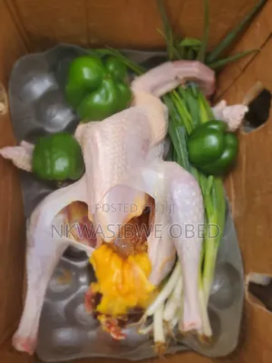 Dressed Turkey and Guinea Fowl